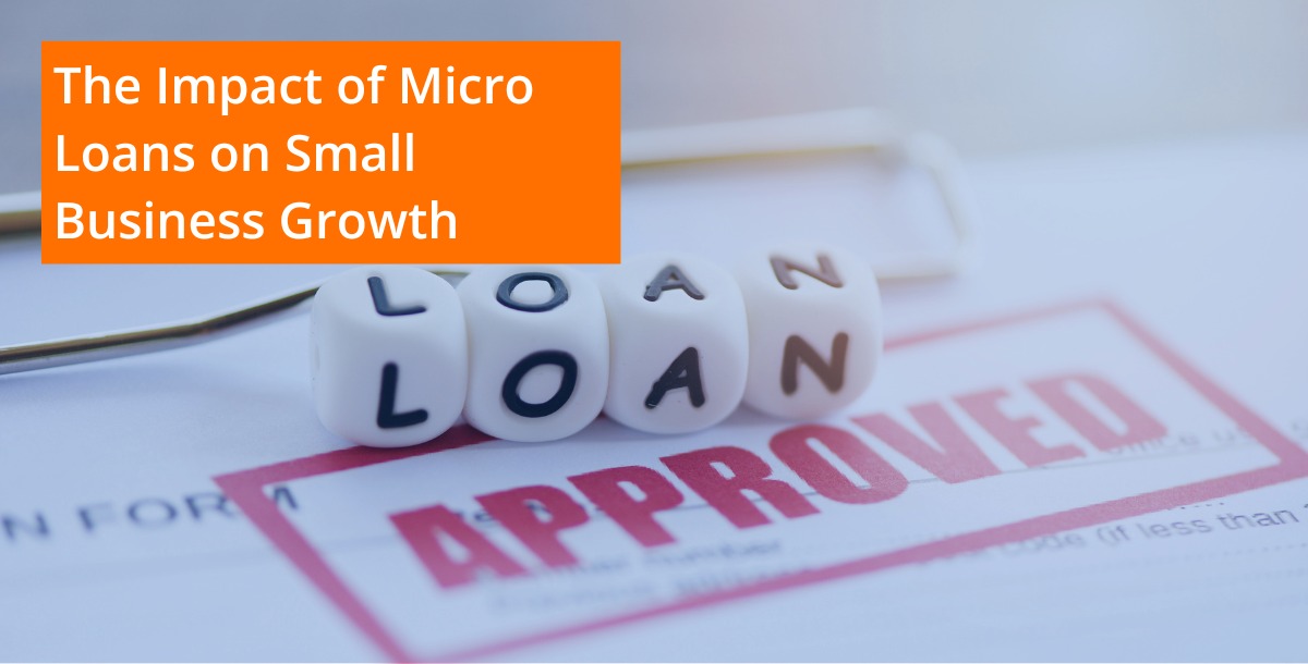 Understanding Micro Lending And Its Role In Financial Inclusion 2 Impact Of Micro Loans On Small Business Growth